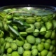 vasetto con le olive in salamoia per la ricetta condiglione